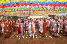 벽상 스님 뜻, 천년 비로 남다