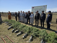 홍법사, 지구를 위한 작은 실천 몽골에 푸른 희망을 심다