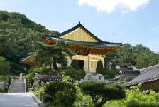 [장보배의 24번의 계절]17. 백로_서울 길을 걷다