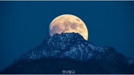 [총무원장 진우 스님의 Weekly 선명상] 40. 고통은 어디서 오는가