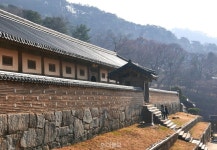 [장보배의 24번의 계절] 24. 동지_해인사 길을 걷다