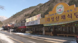 백양사 교통난..지역경제도 빨간불