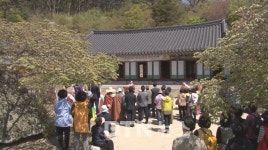 대법원, 정혜사 소유권 파기 환송