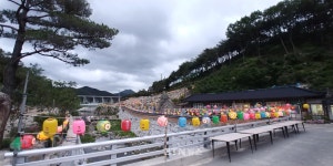 부처님오신날 전국사찰풍경(2) (보리암, 불국사, 화엄사,대광명사,수효사,도선사, 구인사)
