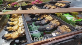 제주 법륭사 화재