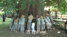 용문사 문화유산 바로알기 개최