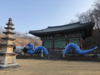 천안 승천사에 나툰 부처님오신날 용등