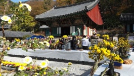 신라고찰 운수사는 국화로 도량장엄 작은음악회