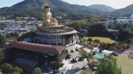 천막에서 대가람으로 부산 홍법사