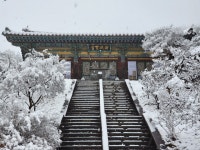 봄눈 내려앉은 구미 도리사