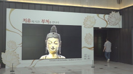 부산시립박물관, 불자·시민 위로 특별전