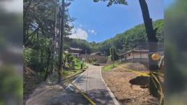 화성 봉림사·용주사 등 집중호우에 피해