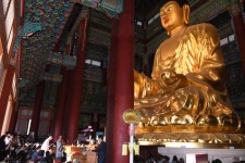 경남 천태불자들 삼운사 대광사서 순례법회 봉행