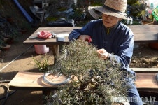  [성주 촛불 열전] (10) 배윤호의 무한도전 