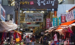  [6.13지방선거:경북민심번역기] 경북 상주에서 보수란? ‘뿌리’ 또는 ‘반공’ 