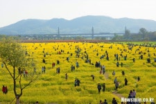 대구시, 노곡동 하중도 새 이름 시민 공모