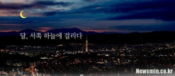 경북대 학생, 이슬람 사원 문제 정확히 알자 웹사이트 오픈