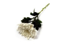 [부고] 노병수 영남일보 사장 장모상