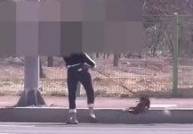 학대 보호자에게 되돌아가는 반려동물들?···지자체는 일시 격리만