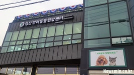지하철역 인근에 문 연 경산반려동물입양센터···바른 입양 문화 만들고 싶어