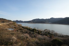원동매화축제 3월 7일부터 이틀 동안 열려