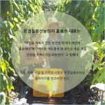 문경칠봉산농원, 무농약 작두콩차 출시