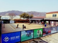 충북 청주 애견스쿨 보스애견센터, 애견체험 사은이벤트 실시