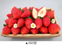 크고 단단한 우리 딸기 새 품종 아리향으로 불러주세요