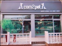 강아지분양 컴투펫 전문샵 프렌차이즈 8월 인천점 오픈