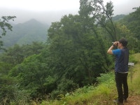 홍천국유림관리소, 산림병해충 예찰 및 방제계획 수립