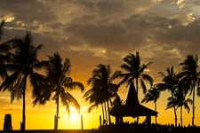 코타키나발루여행사 가이드맨, 각종 투어상품 이벤트 실시