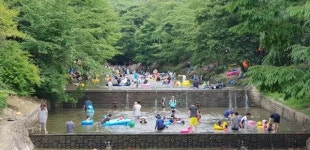 완주 고산자연휴양림 여름 휴가지로 인기 폭발