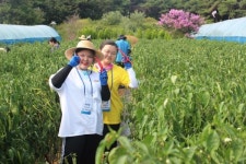 동대문구와 함께하는 해피통통 볼런투어