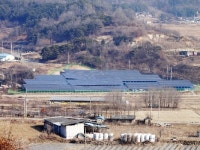 태양광발전소분양설치 경원파워, 문대통령 미세먼지로 30년된 석탄발전소 조기 폐쇄 검토