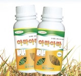 농업회사법인 (주)건영바이오 아라아라…농업한류시장 개척 나서