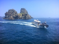 추자도낚시 추자피싱랜드 힐링 즐길 수 있어