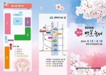 벚꽃, 천안을 그리다제7회 천안위례벚꽃축제 개최