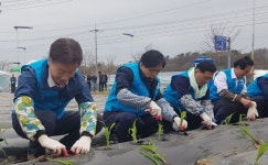 법무부·농협, 사회봉사대상자와 함께 봉사활동