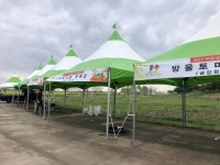 2019 부여세도 방울토마토＆유채꽃축제 임박...다양한 즐길거리 제공