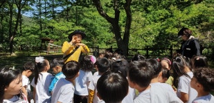 경북청송초 병설유치원 싱그러움 가득한 유아 숲 체험