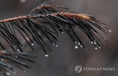 [울산날씨] 출근길 빗방울, 오전중 그쳐