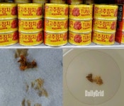 [단독] 동원고추 참치 ··· 이물질 발생 이마트(봉담점) 판매중지