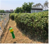 친환경 잔디관리를 선도하는 천안축구센터