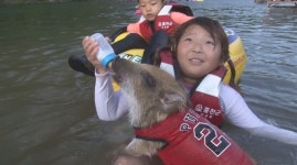 멧돼지 키우는 가족의 사연 세상에 이런일이