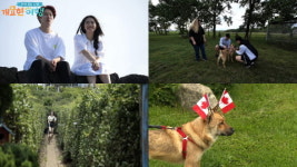 개묘한 여행, 김희철·김소혜 제주도 펫 여행기