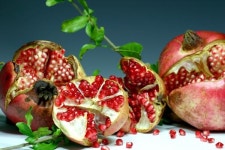 고흥군, 제1회 고흥유자석류축제 개최