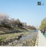용인시 성복천 공사 끝난지 5년 만에 부실시공 검토?