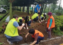 서울농협, 깨끗하고 아름다운 농촌마을 가꾸기 실시