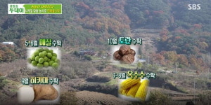 생방송 투데이, 사계절 맞춤 농사로 연매출 5억을 달성하는 귀농 부부의 성공 비결 공개!...계절 맞춤 작물과 땅속의 황금, 울금