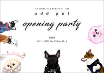 프리미엄 애완용품샵 오드펫(odd pet) 오프닝 파티